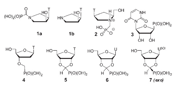 Publications Jiri Jiracek Group
